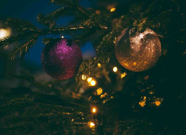 Gros plan sur une branche de sapin de Noël avec deux boules pendues