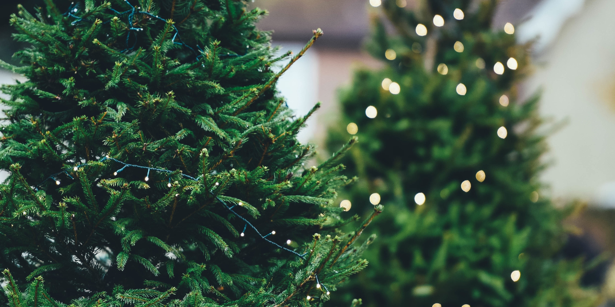 Design sans titre (15) Sapin de Noël avec illuminations