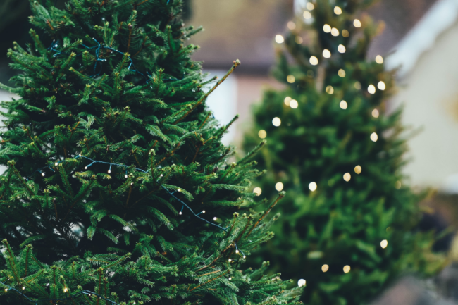 Sapin de Noël avec illuminations