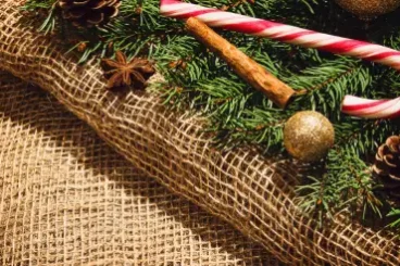 Sapin-noel-article-1 Tendances déco Noël 2024
