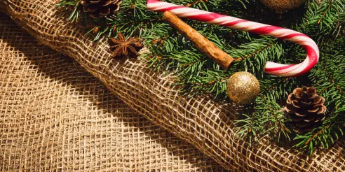 Sapin-noel-article-1 Tendances déco Noël 2024